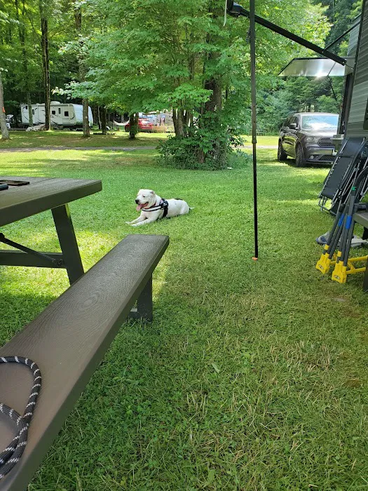 Little Lake Campground Picture 4