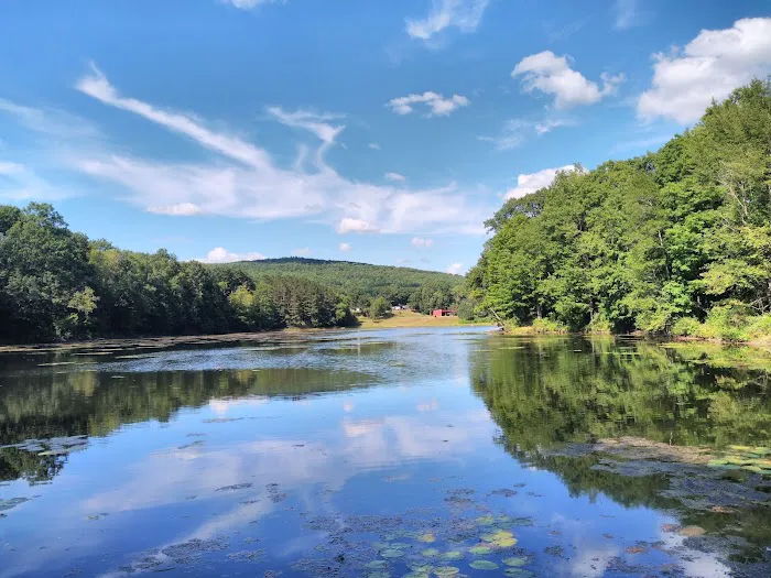Crazy Acres Campground at Beaver Spring Lake Picture 6