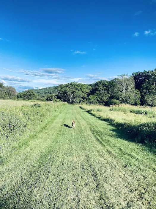 Crazy Acres Campground at Beaver Spring Lake Picture 9