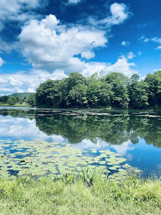 Crazy Acres Campground at Beaver Spring Lake Picture 7
