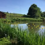 Glampotel at Natural Gardens