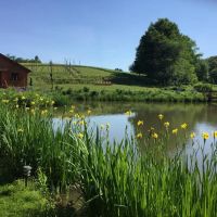 Glampotel at Natural Gardens ico