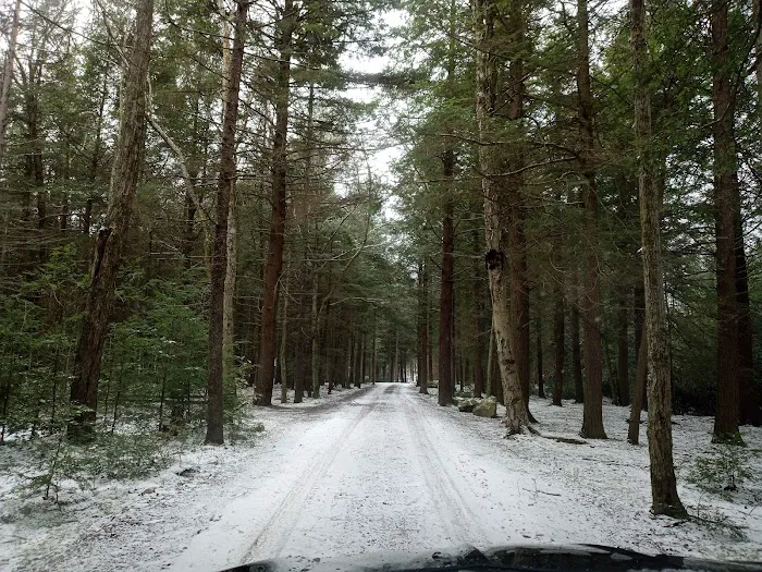 Manny Gordon Pavilion Picture 9