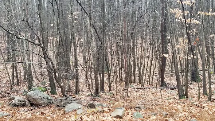 Manny Gordon Pavilion Picture 5