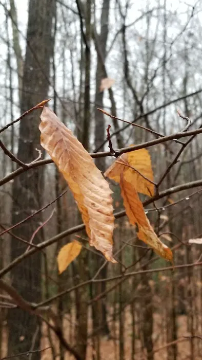 Manny Gordon Pavilion Picture 6