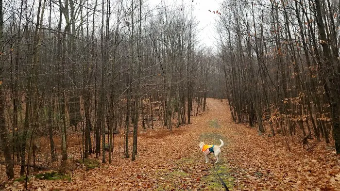 Manny Gordon Pavilion Picture 3