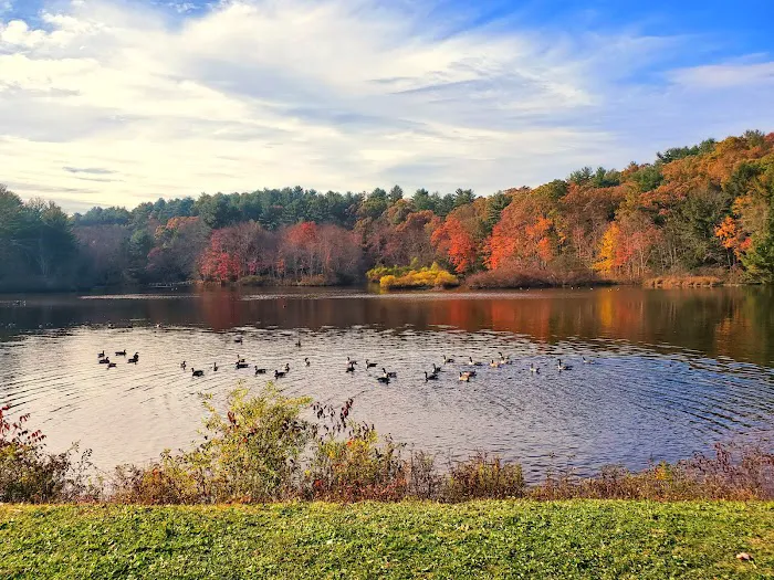 RoundStone Camping Resort Picture 5