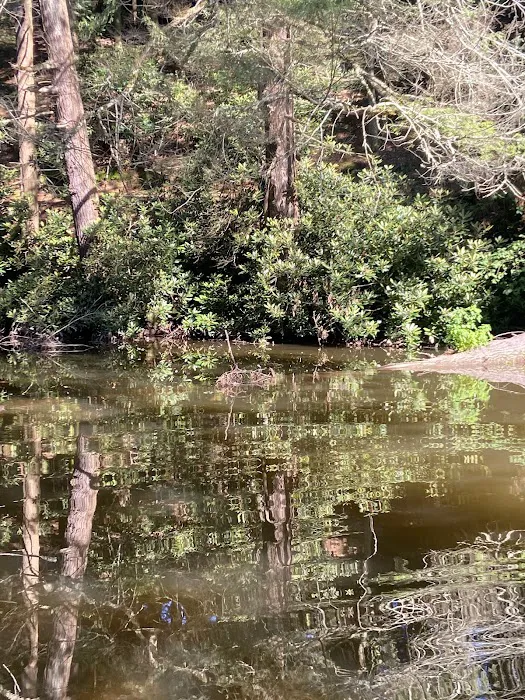 RoundStone Camping Resort Picture 3