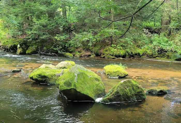 RoundStone Camping Resort Picture 1