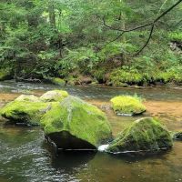 RoundStone Camping Resort ico