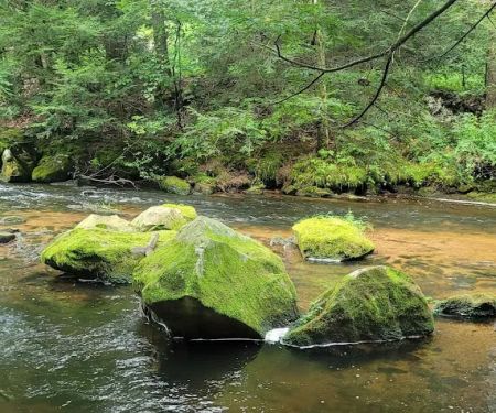 RoundStone Camping Resort