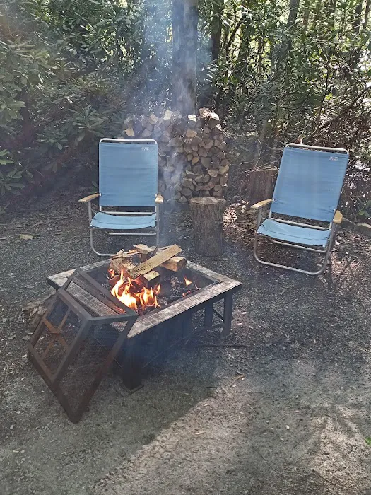 Laurel Lake Campsites Picture 9