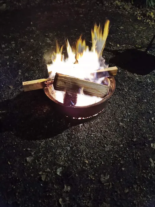 Laurel Lake Campsites Picture 8