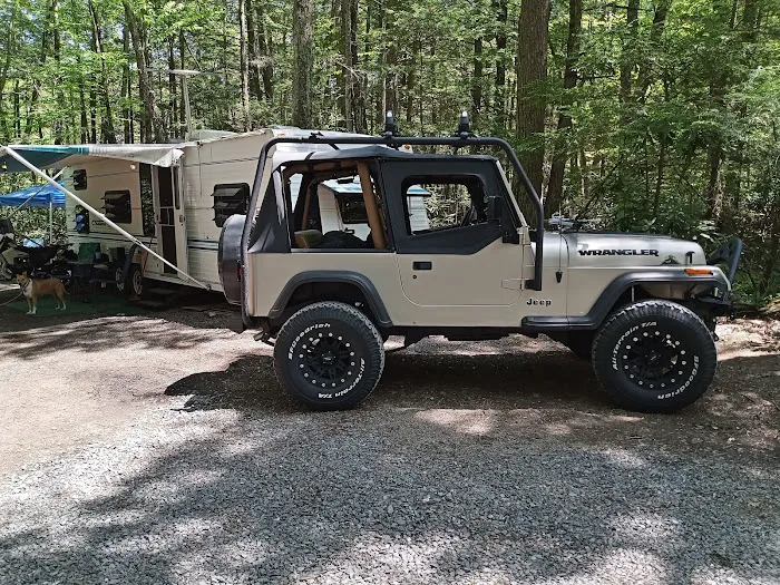 Laurel Lake Campsites Picture 10