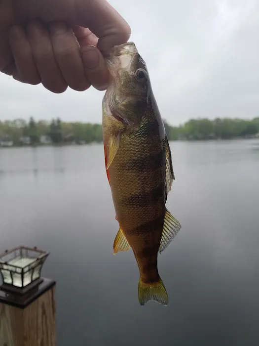 Penn Lake Park Borough Picture 6