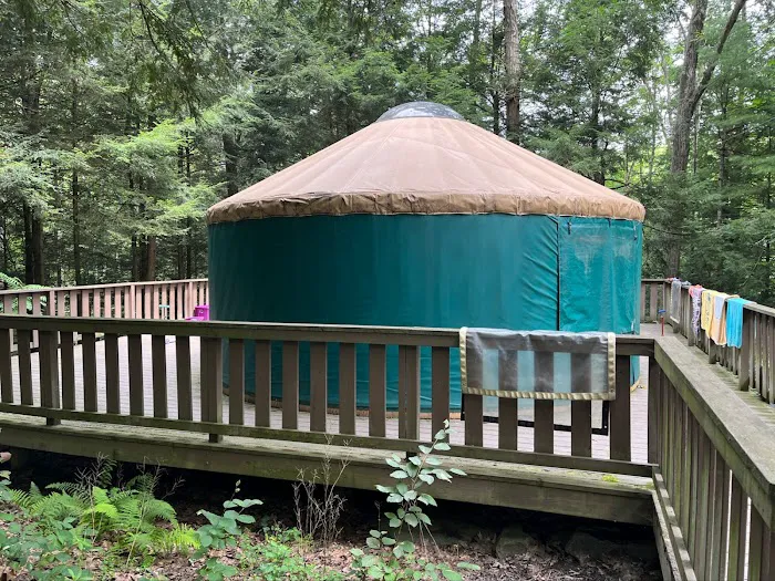 Tuscarora State Park Cabins Picture 3