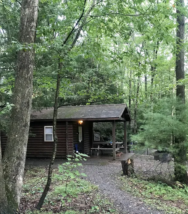 Tuscarora State Park Cabins Picture 4