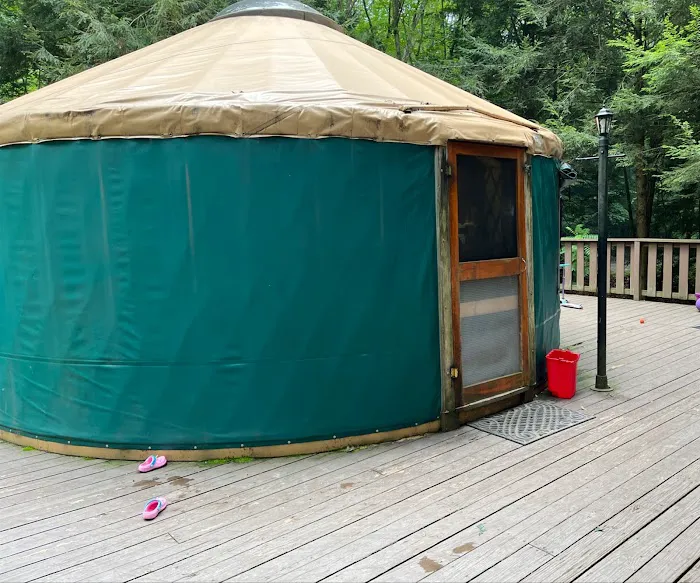 Tuscarora State Park Cabins Picture 5