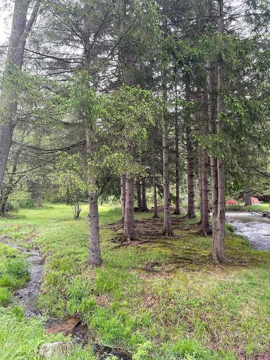 Oreland Troop 1 Hawk Mountain Camp Picture 8