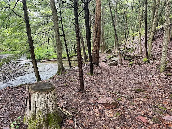 Oreland Troop 1 Hawk Mountain Camp Picture 10