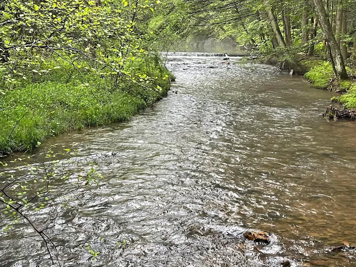 Oreland Troop 1 Hawk Mountain Camp Picture 5