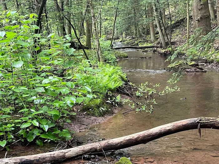Oreland Troop 1 Hawk Mountain Camp Picture 6
