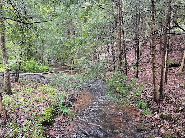 Oreland Troop 1 Hawk Mountain Camp Picture 4