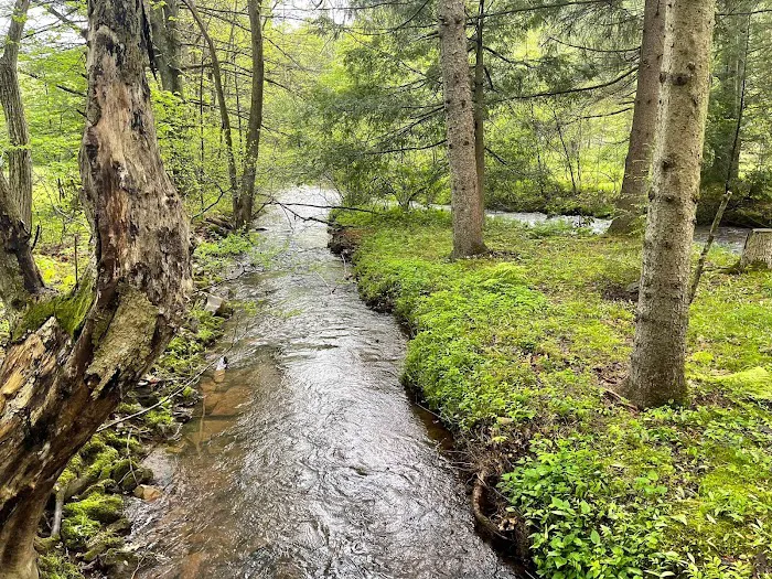 Oreland Troop 1 Hawk Mountain Camp Picture 9