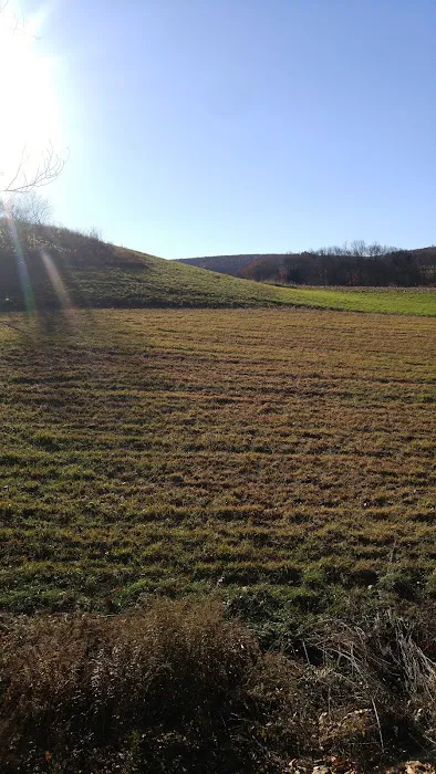 Oreland Troop 1 Hawk Mountain Camp Picture 2