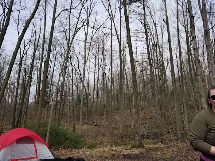 Blue Rocks Picture 9