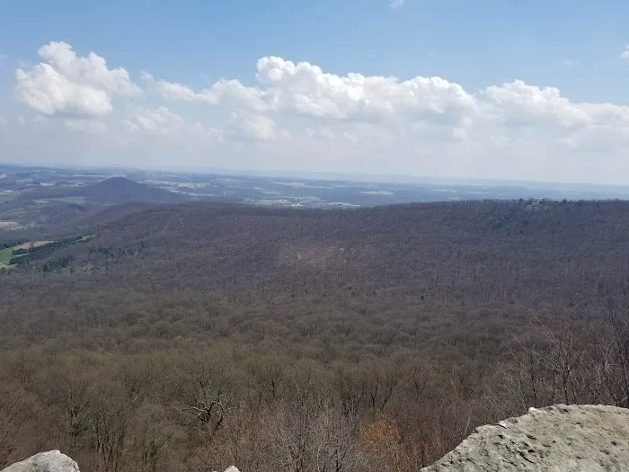 Blue Rocks Picture 3