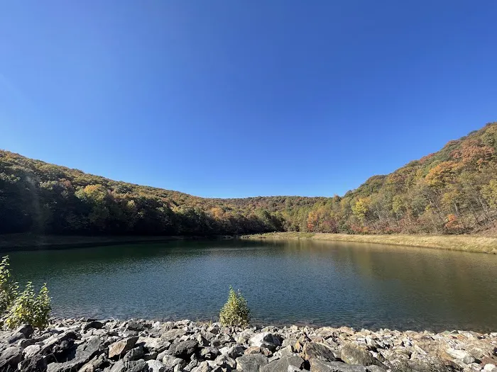 Blue Rocks Picture 6