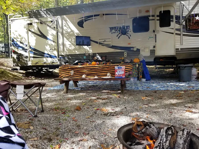 Rosemount Camping Resort Picture 9