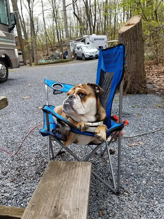 Rosemount Camping Resort Picture 10