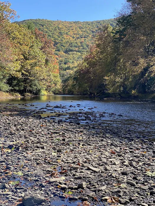 Hipcamp at Hawk Shadow Farm Picture 3