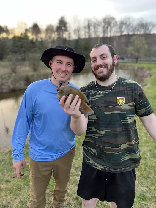 Hipcamp at Hawk Shadow Farm Picture 1