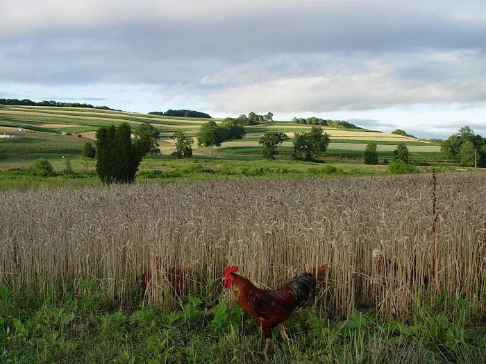 Kutztown Campground New Dutch Picture 9