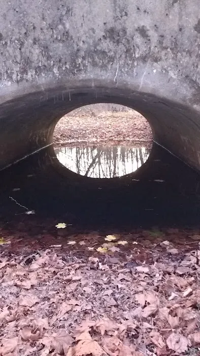 Kutztown Campground New Dutch Picture 2