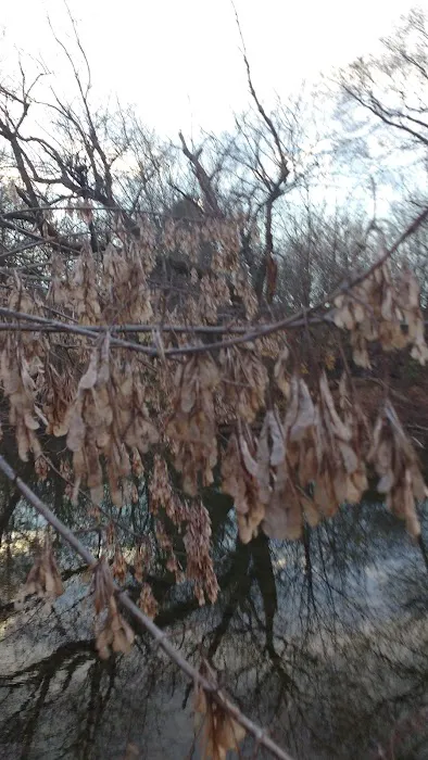 Kutztown Campground New Dutch Picture 4