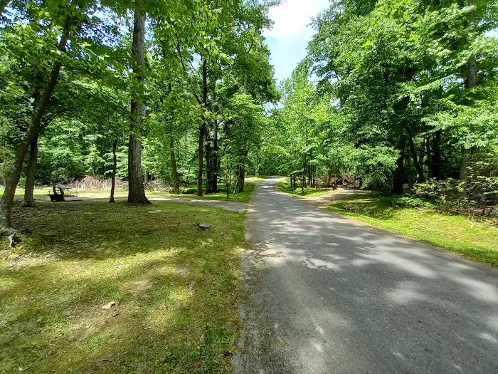 Elk Neck State Park Campground Picture 5