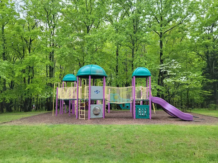 Elk Neck State Park Campground Picture 2