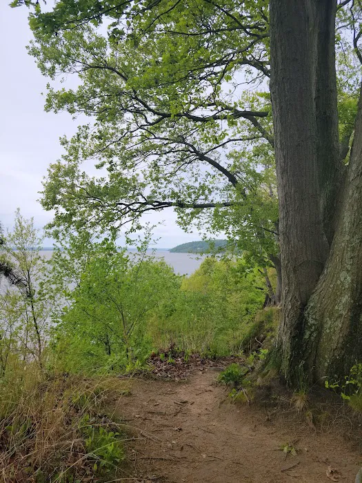 Elk Neck State Park Campground Picture 4