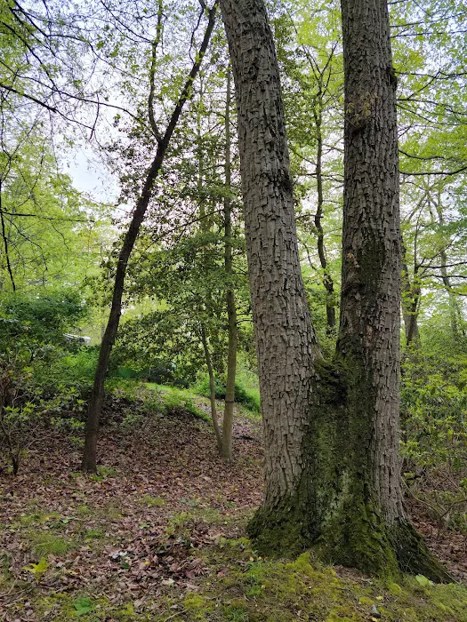 Elk Neck State Park Campground Picture 7