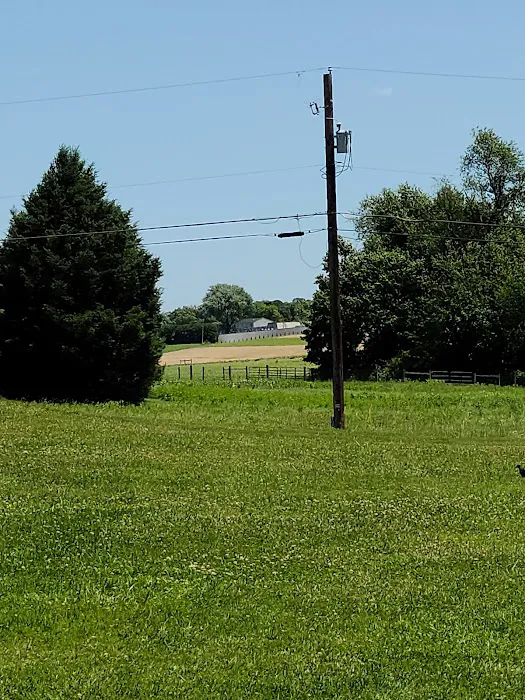 White Oak Campground Picture 2