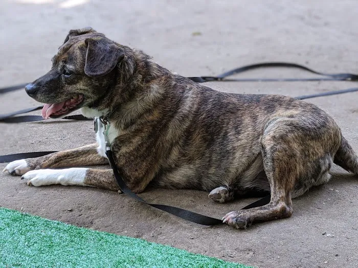 Acorn Campground Picture 5