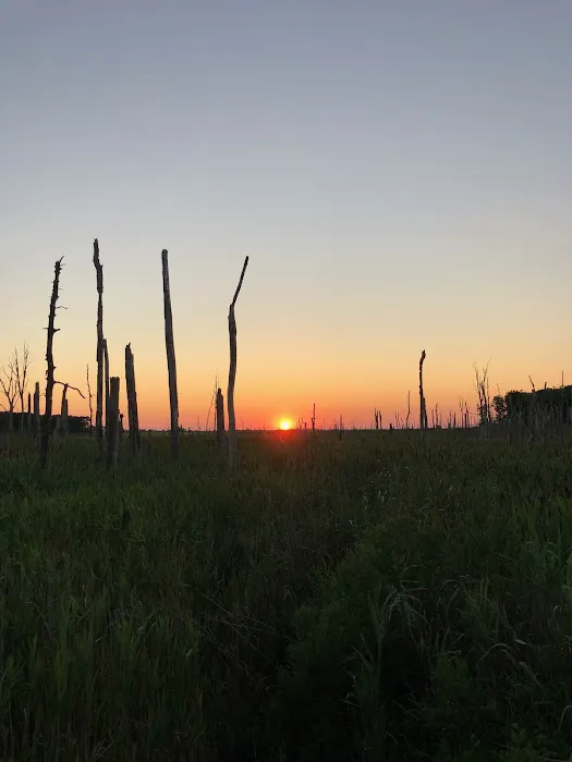 Acorn Campground Picture 9