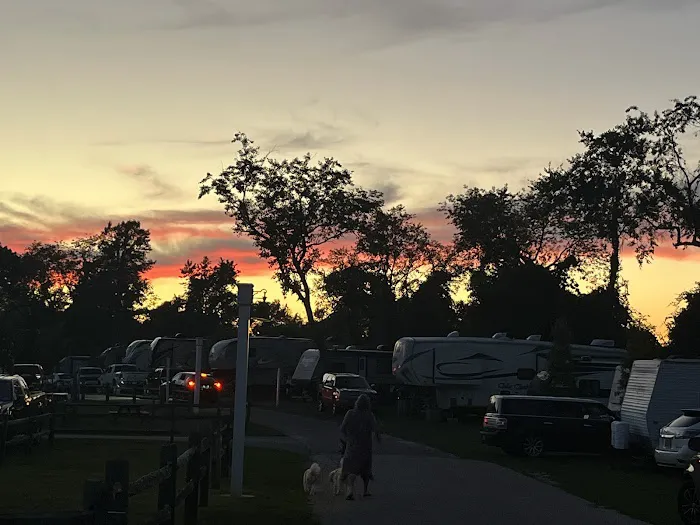 Depot Travel Park Picture 5