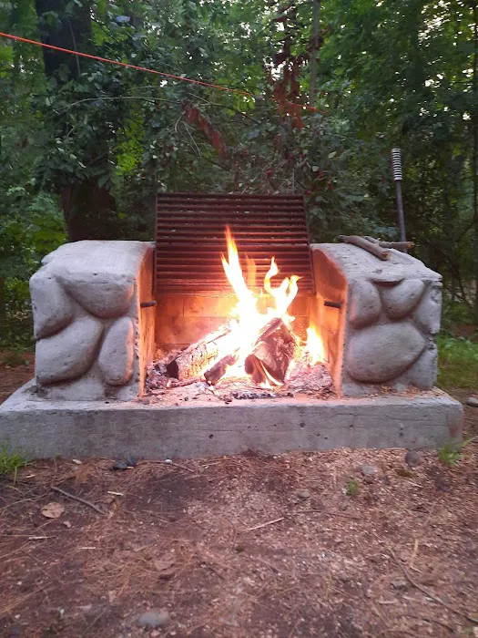 Bear Spring Mountain Campground Picture 7