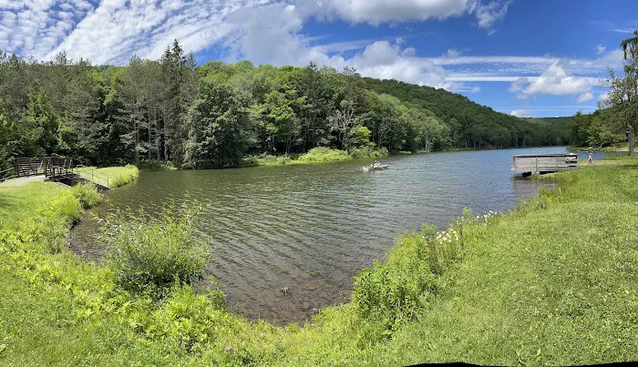 Bear Spring Mountain Campground Picture 1