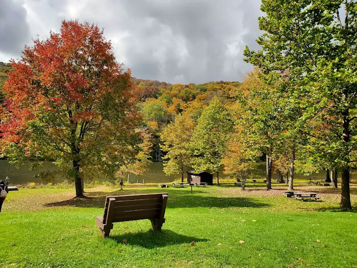 Bear Spring Mountain Campground Picture 9